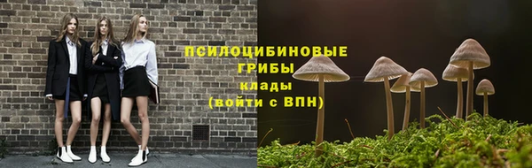 гидропоника Алзамай