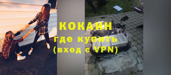 дживик Алексин