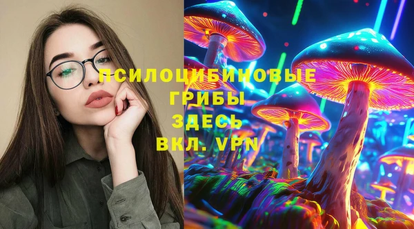 гидропоника Алзамай