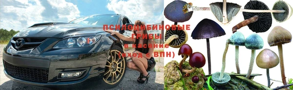 мескалин Алексеевка