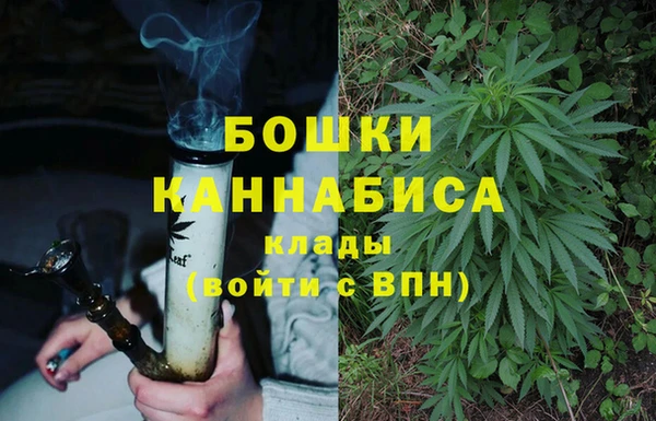 гидропоника Алзамай