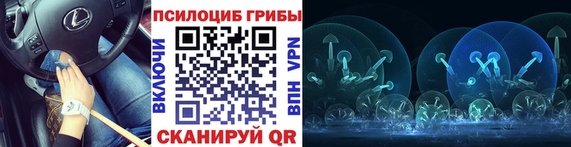 где купить наркотик Красноармейск Галлюциногенные грибы ЛСД