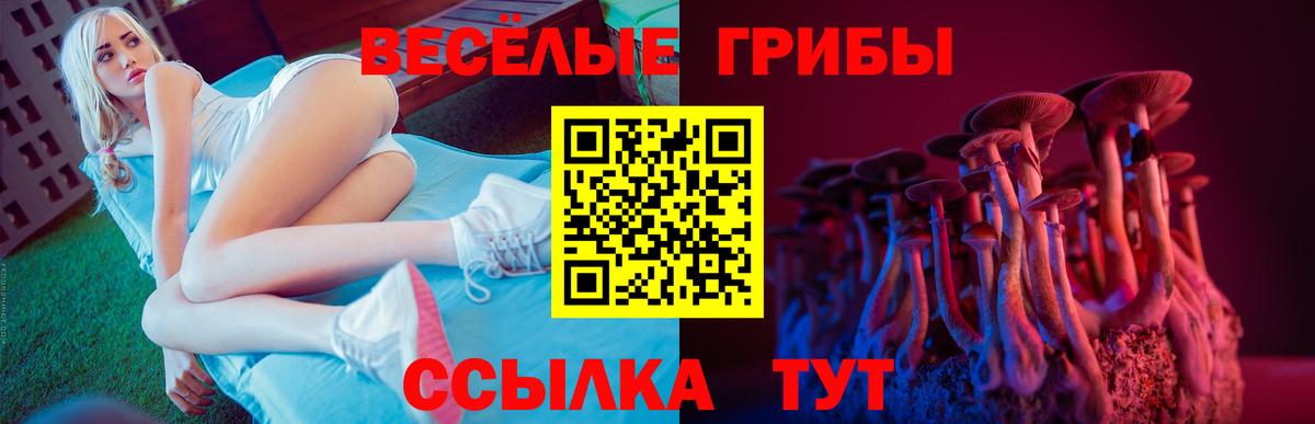 Галлюциногенные грибы мухоморы  Галлюциногенные грибы мицелий  Красноармейск  Вход с VPN 